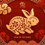 graphic with rabbit and chinese symbols