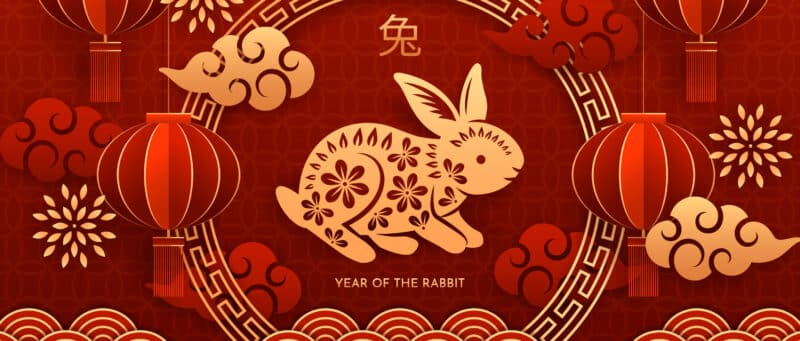 graphic with rabbit and chinese symbols