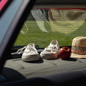 shoes, apple and hat in back window of a car